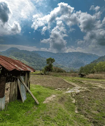 Nagaland